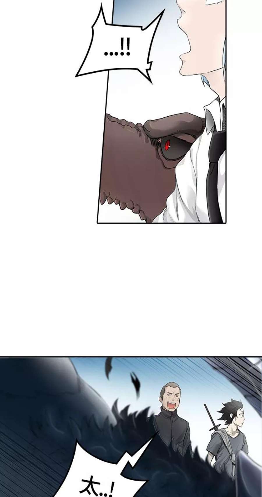 80.jpg