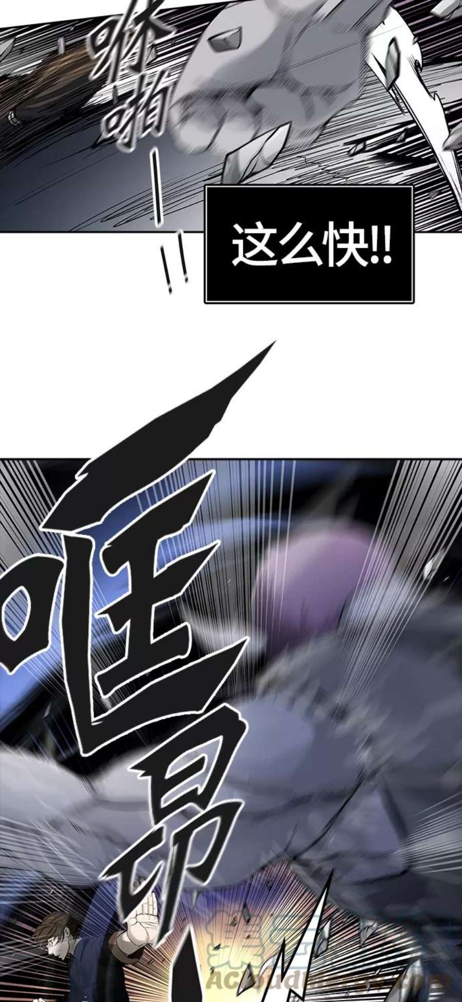 101.jpg