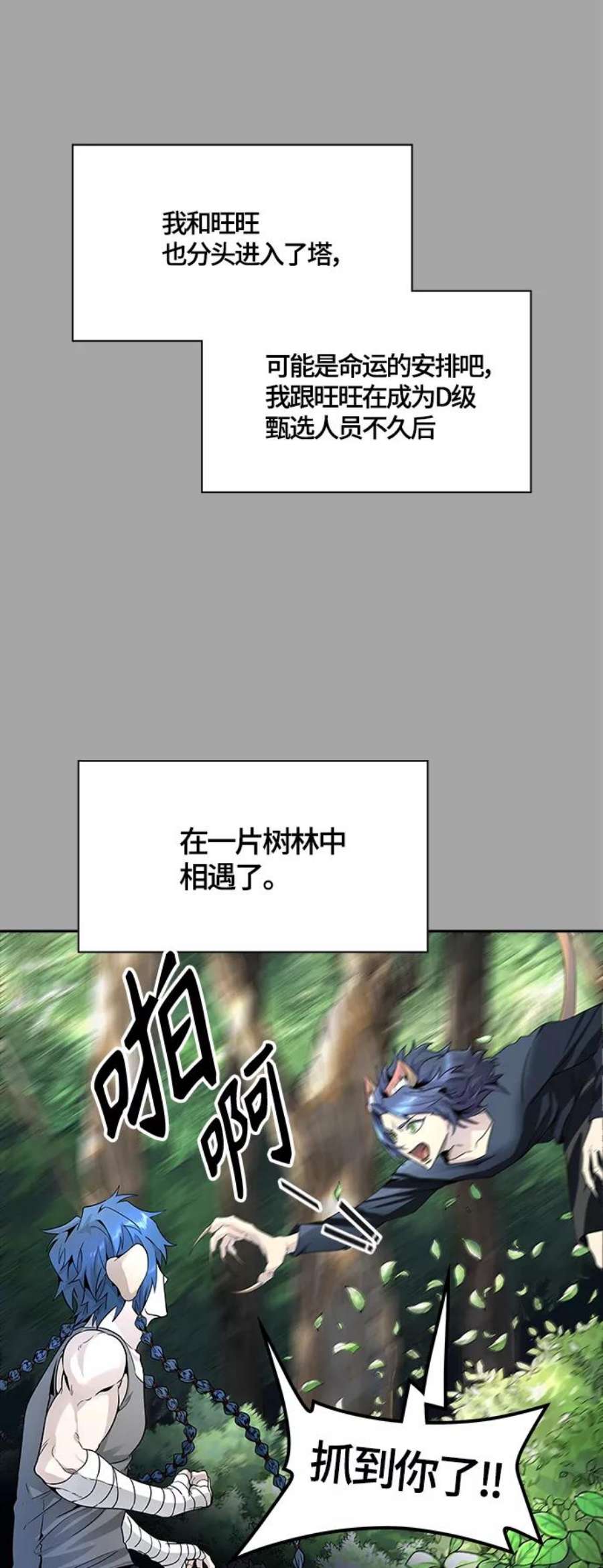 15.jpg
