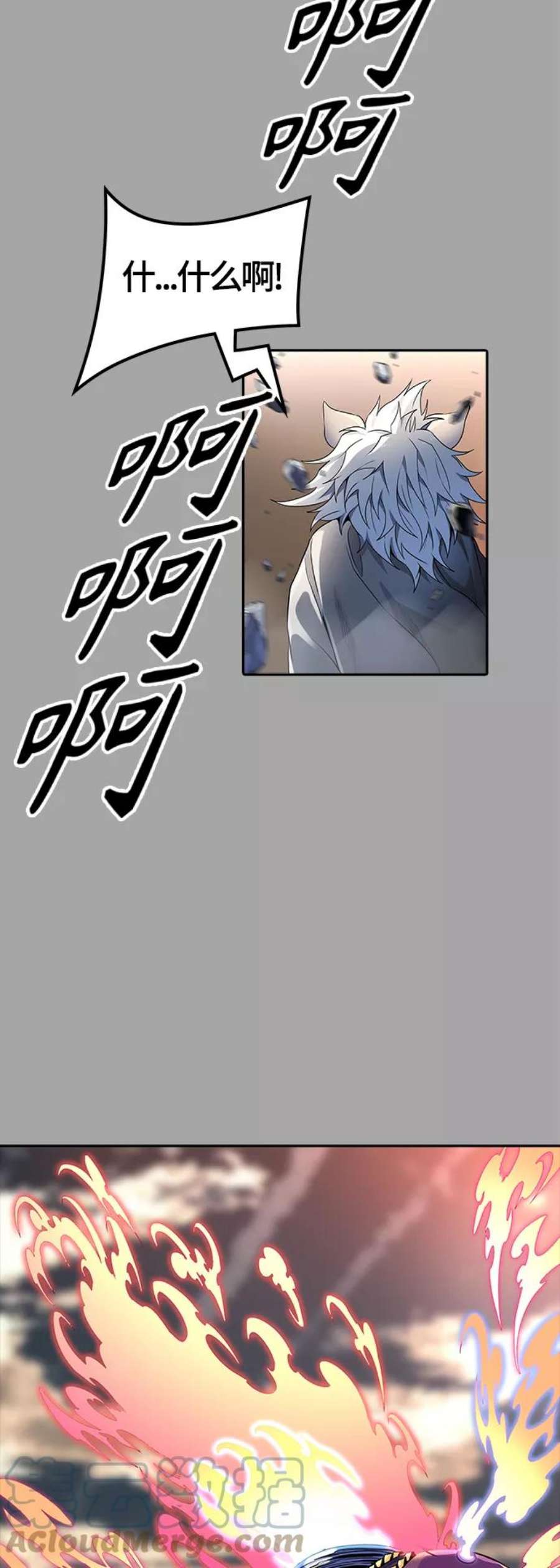 145.jpg