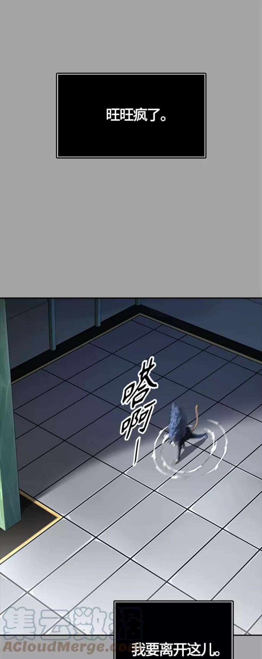 101.jpg