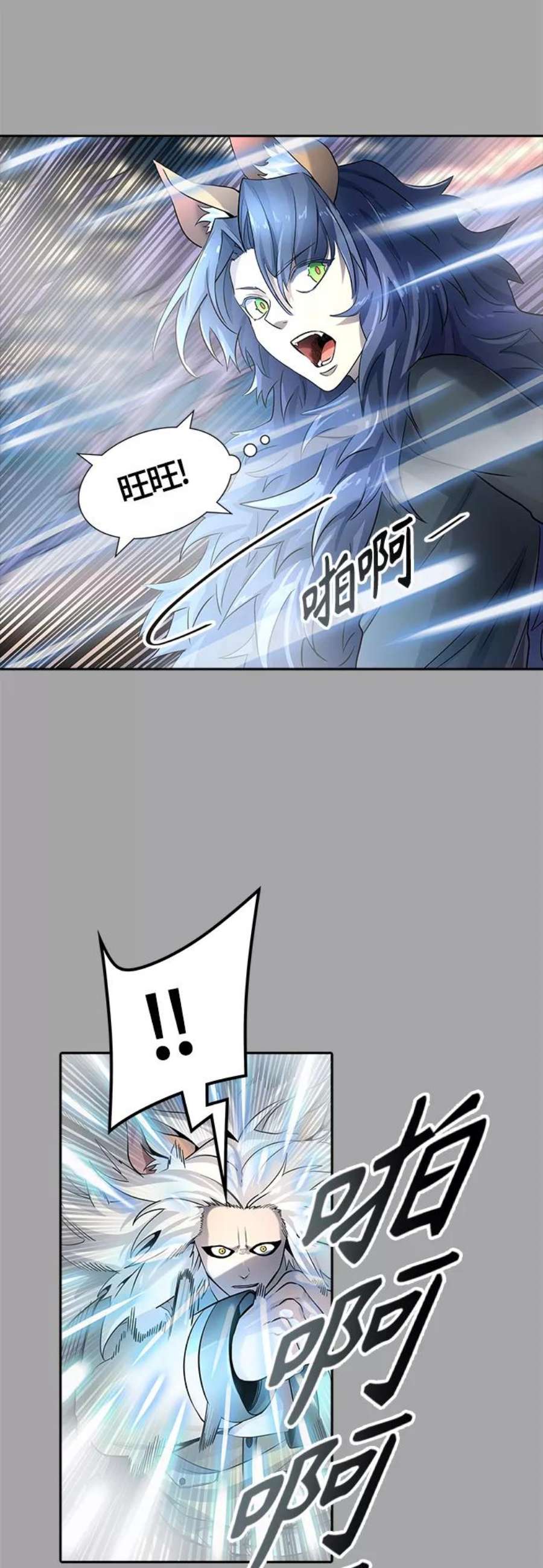 48.jpg