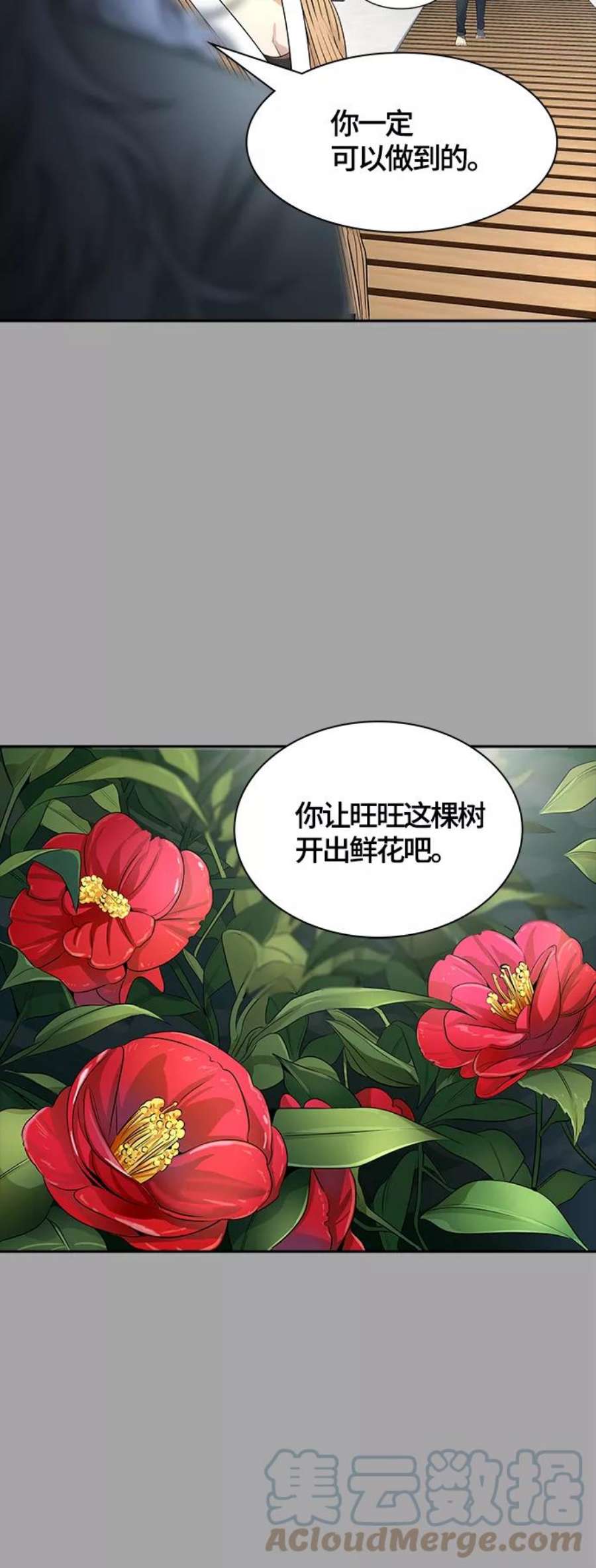 113.jpg