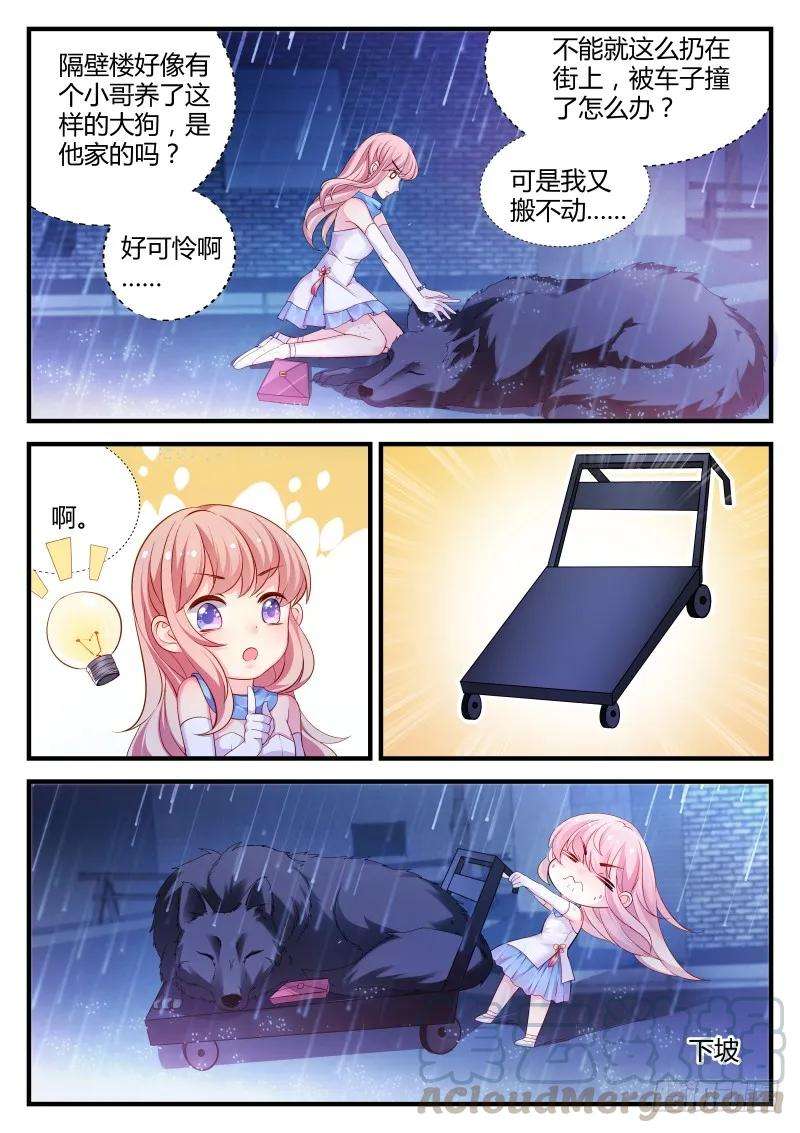 5.jpg