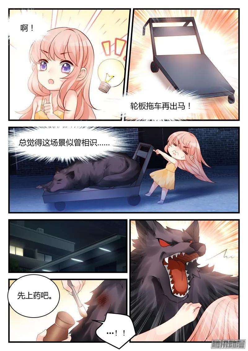 4.jpg