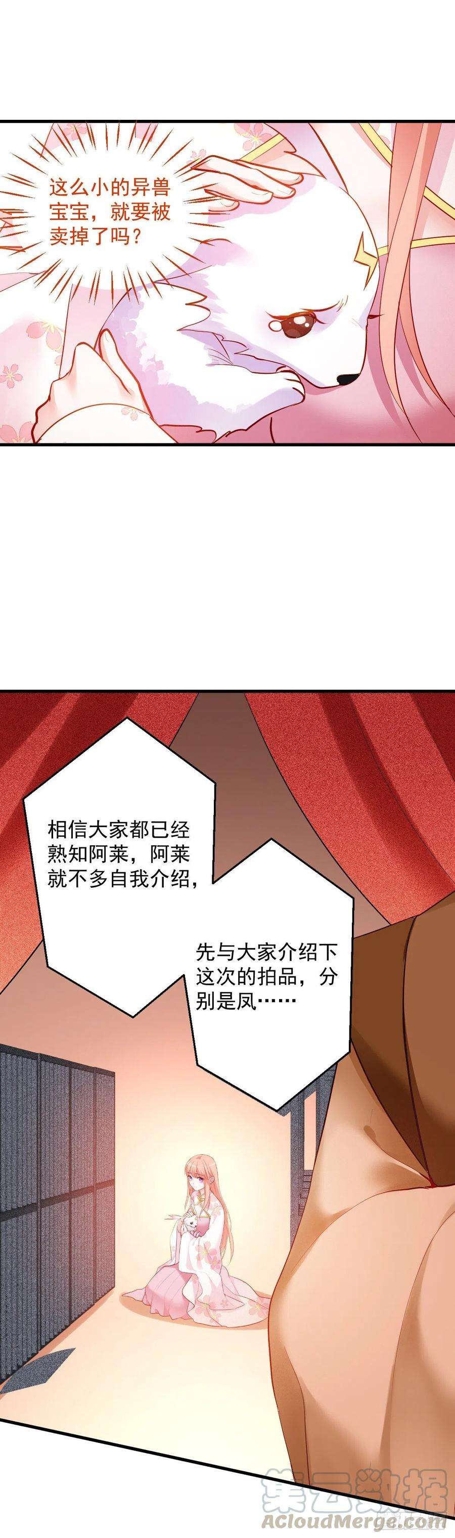 29.jpg