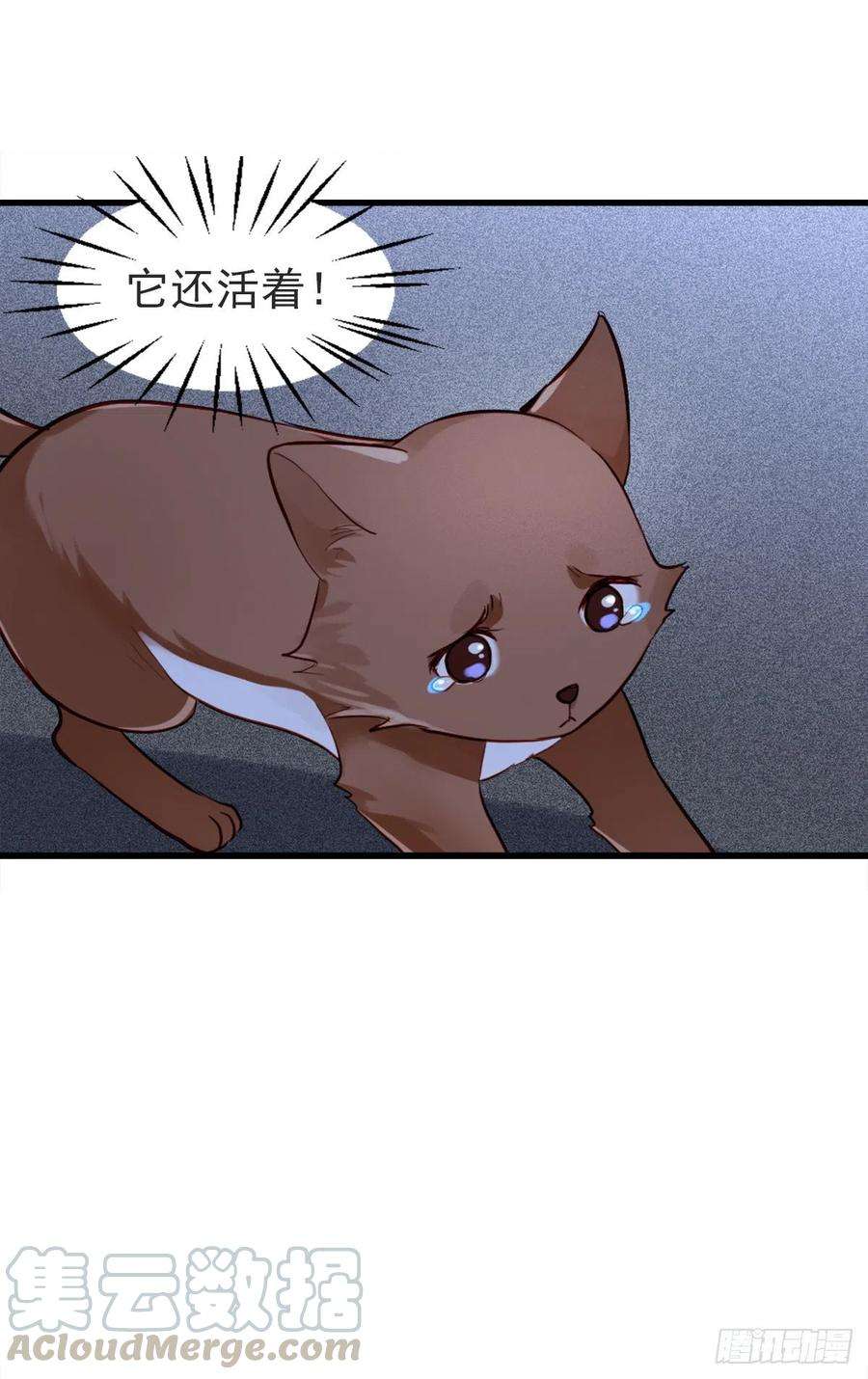31.jpg