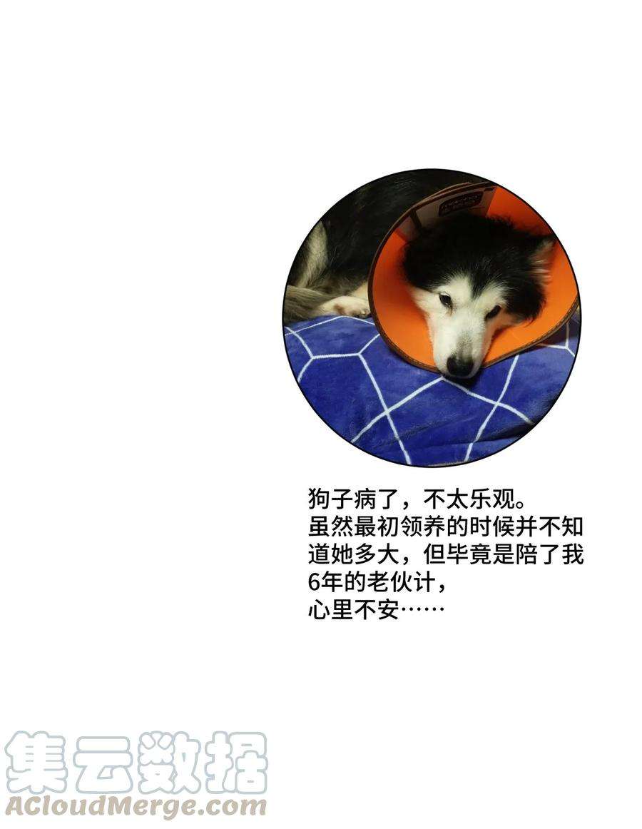 57.jpg