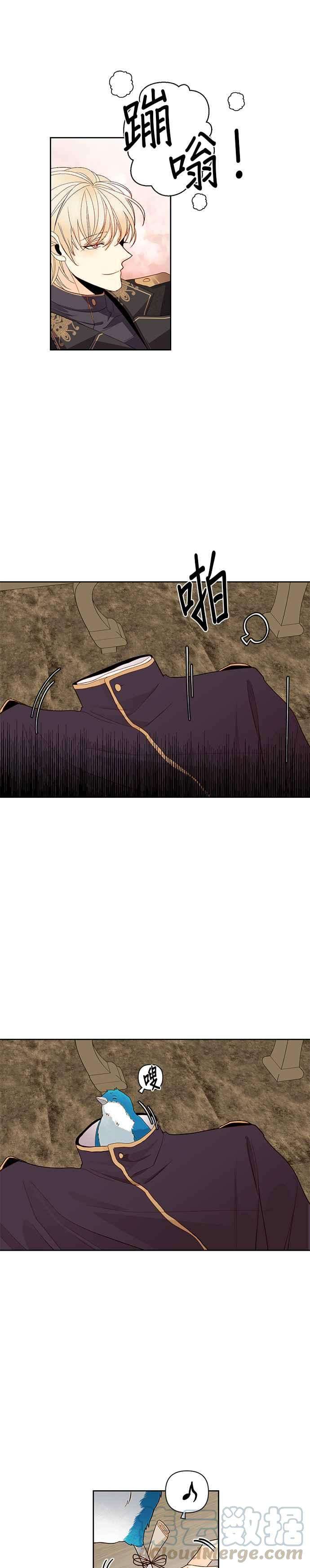 13.jpg