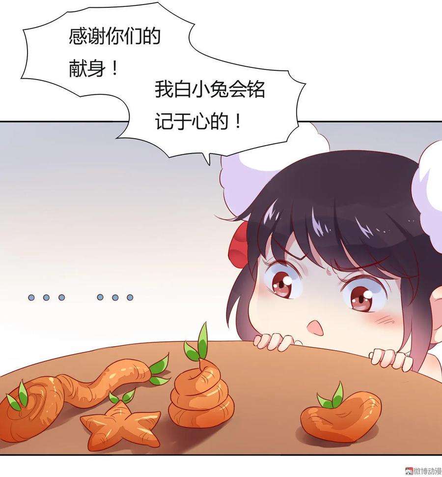 23.jpg