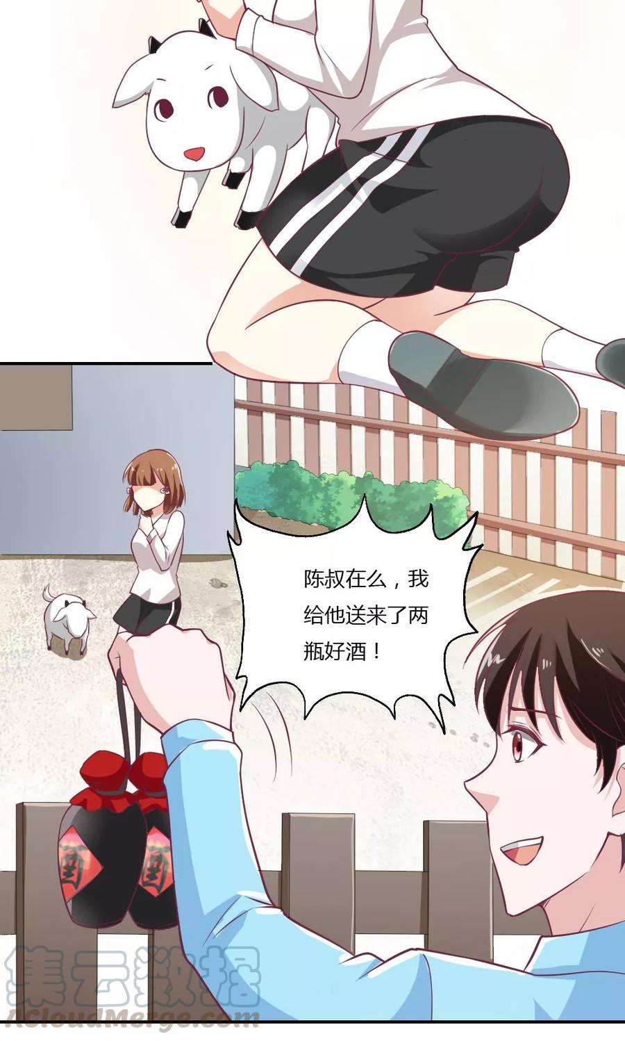 5.jpg
