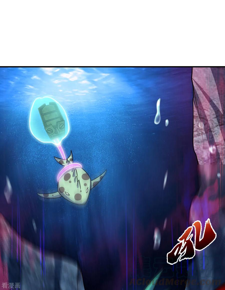 31.jpg