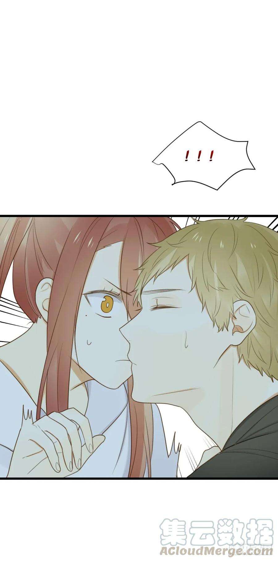 31.jpg