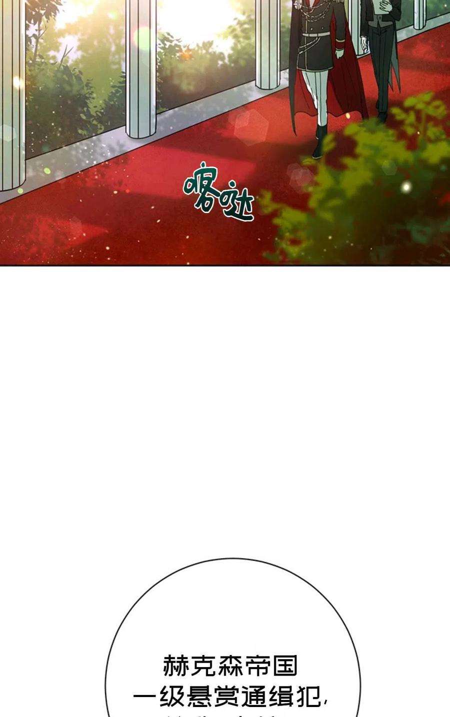 48.jpg