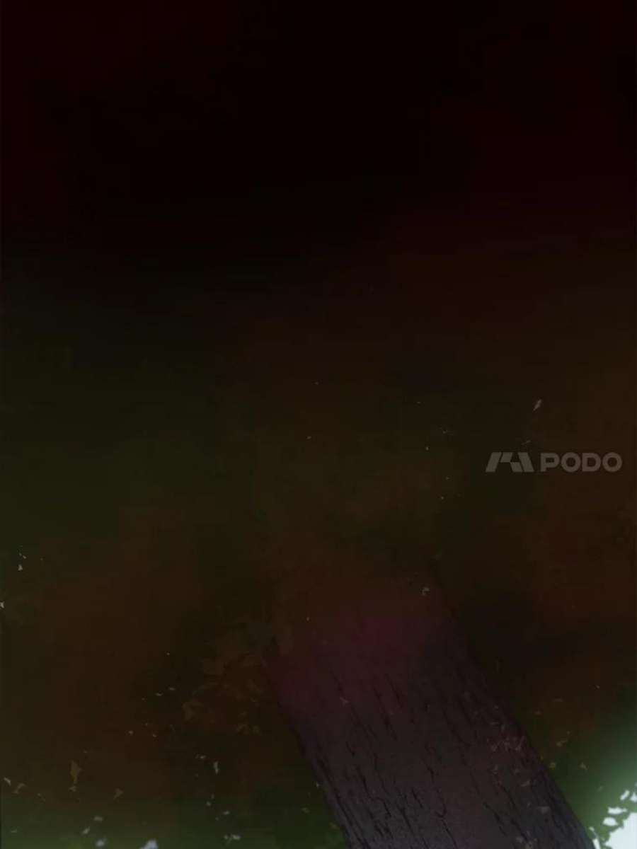 100.jpg