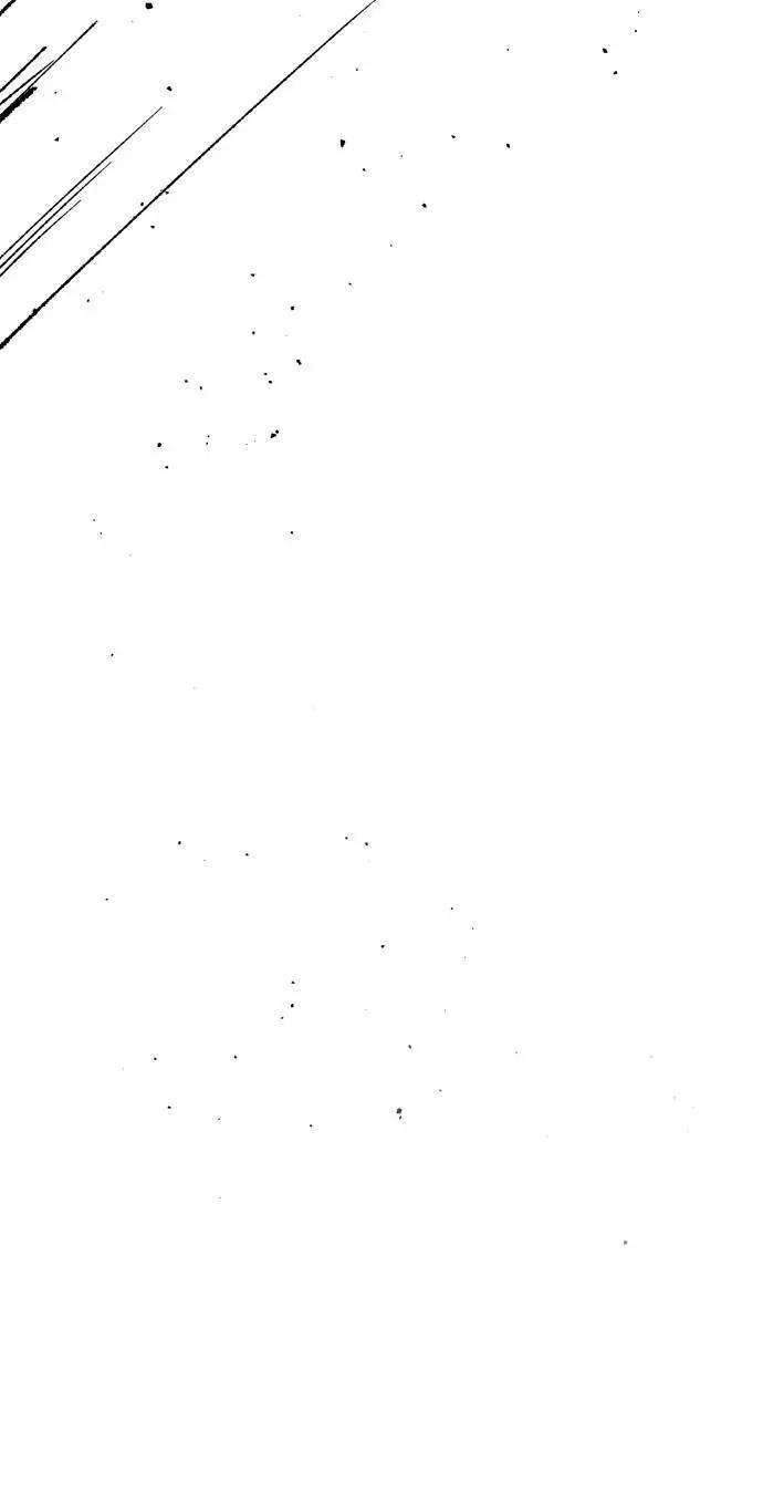 217.jpg