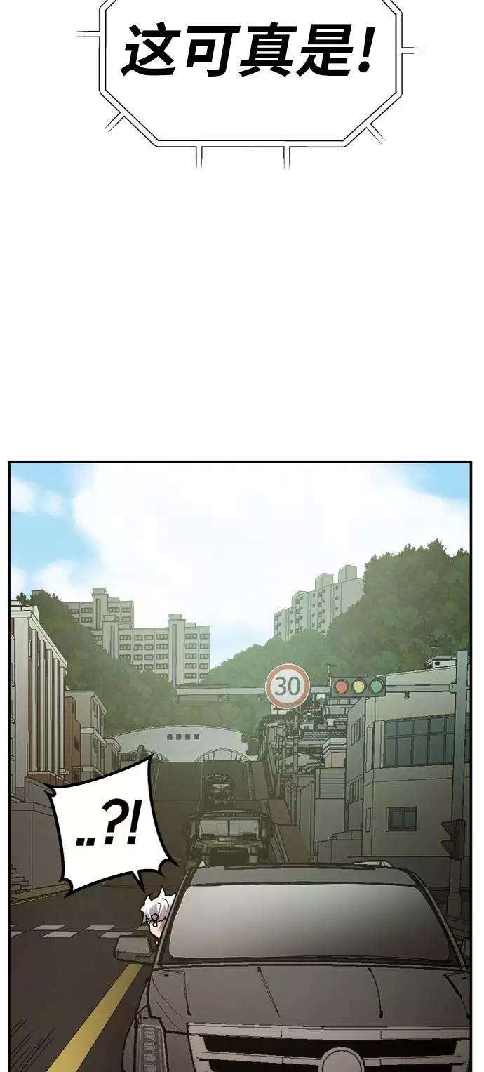 96.jpg