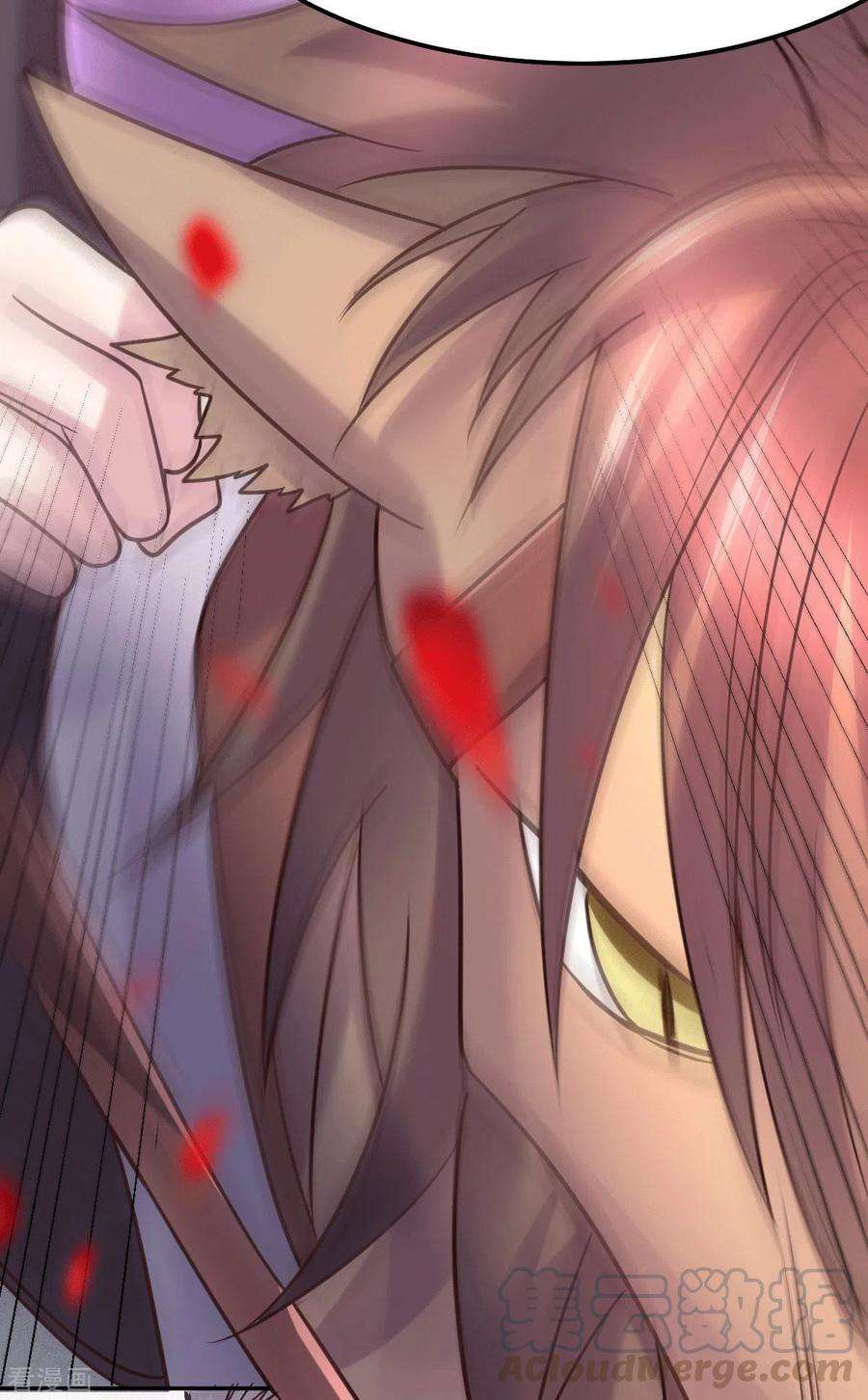 25.jpg