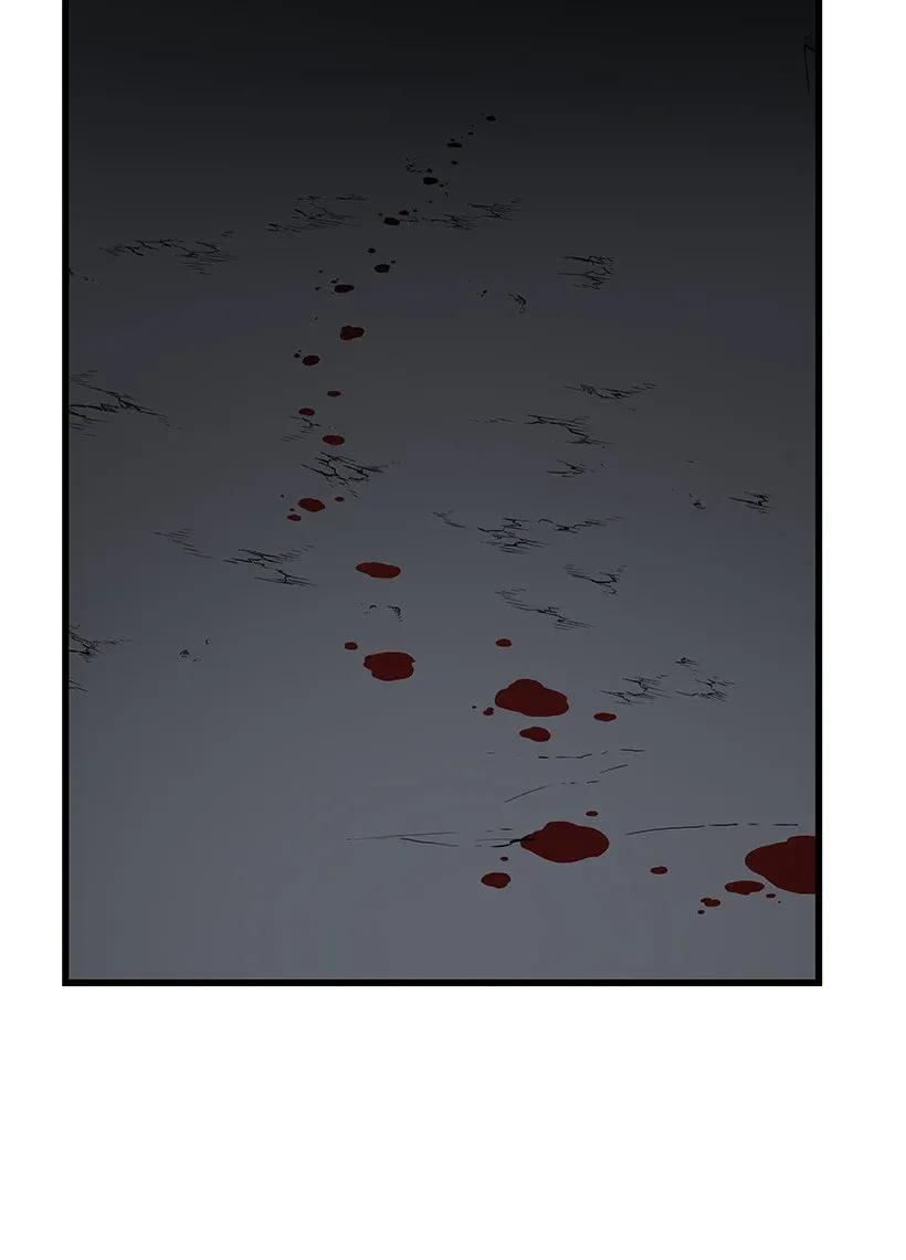 95.jpg