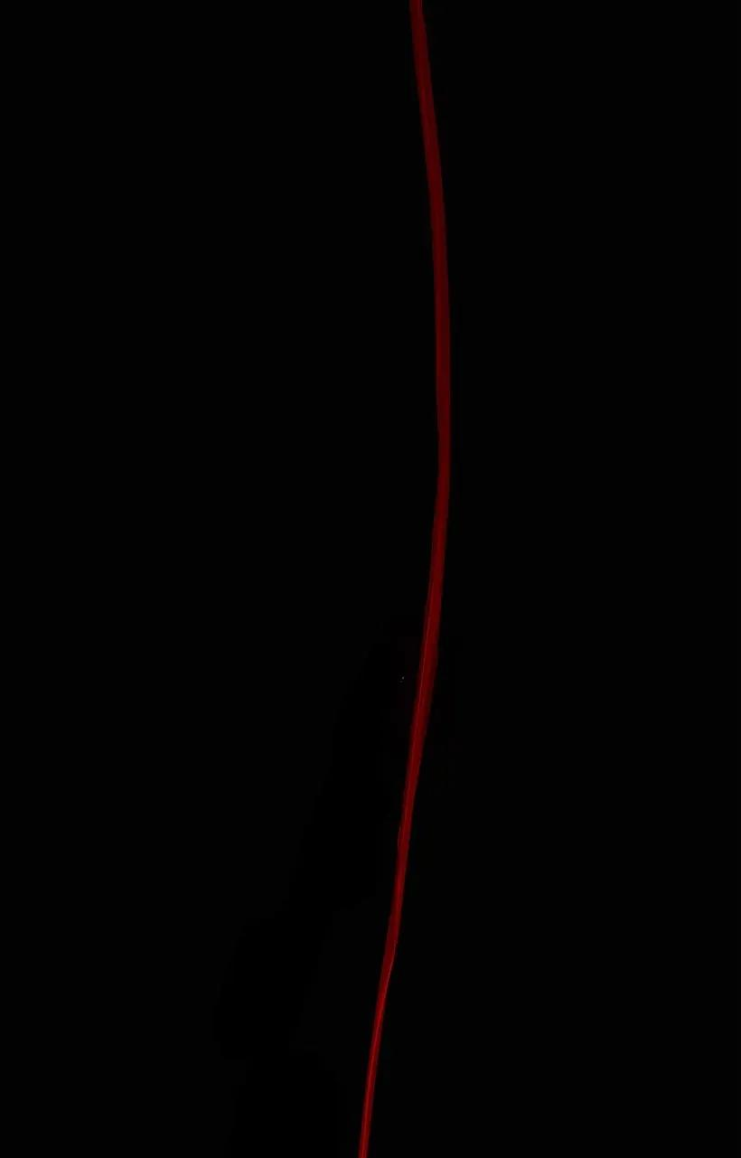 79.jpg
