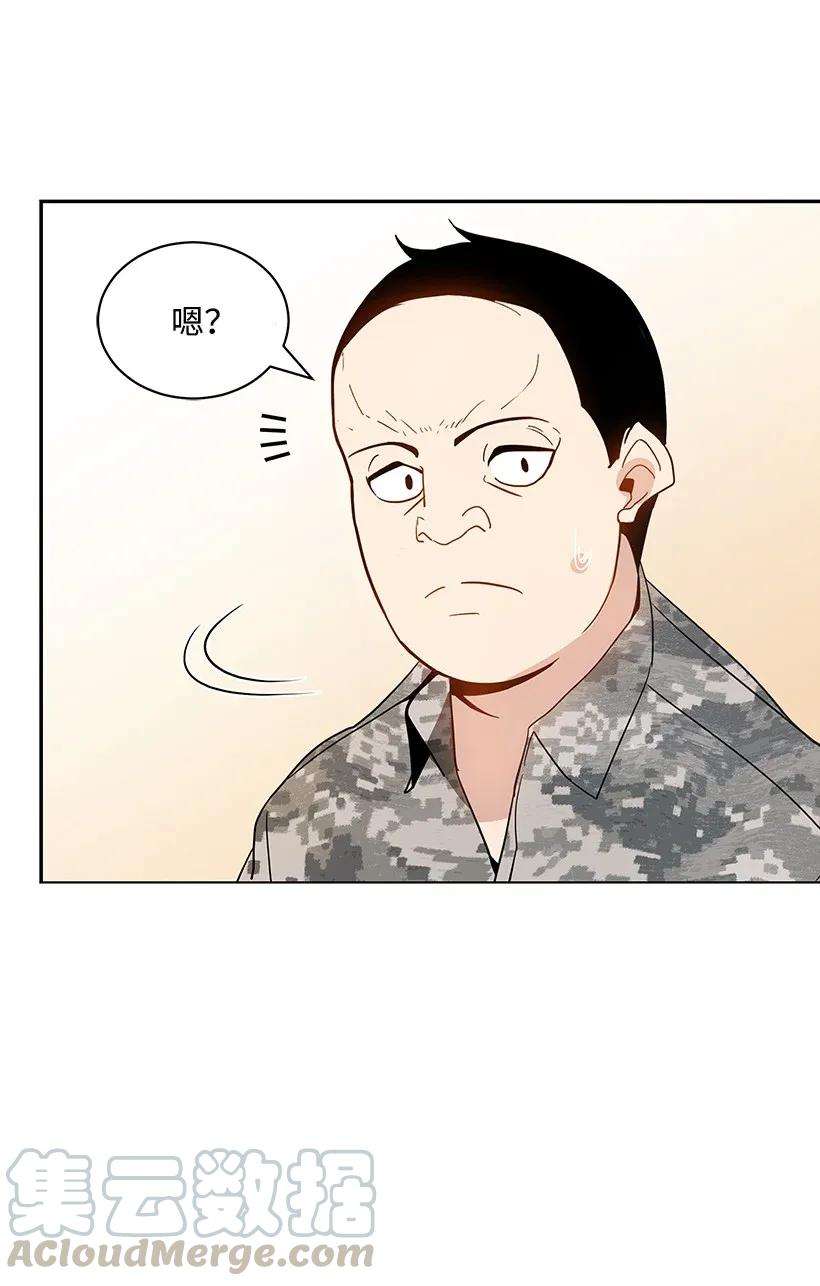 81.jpg