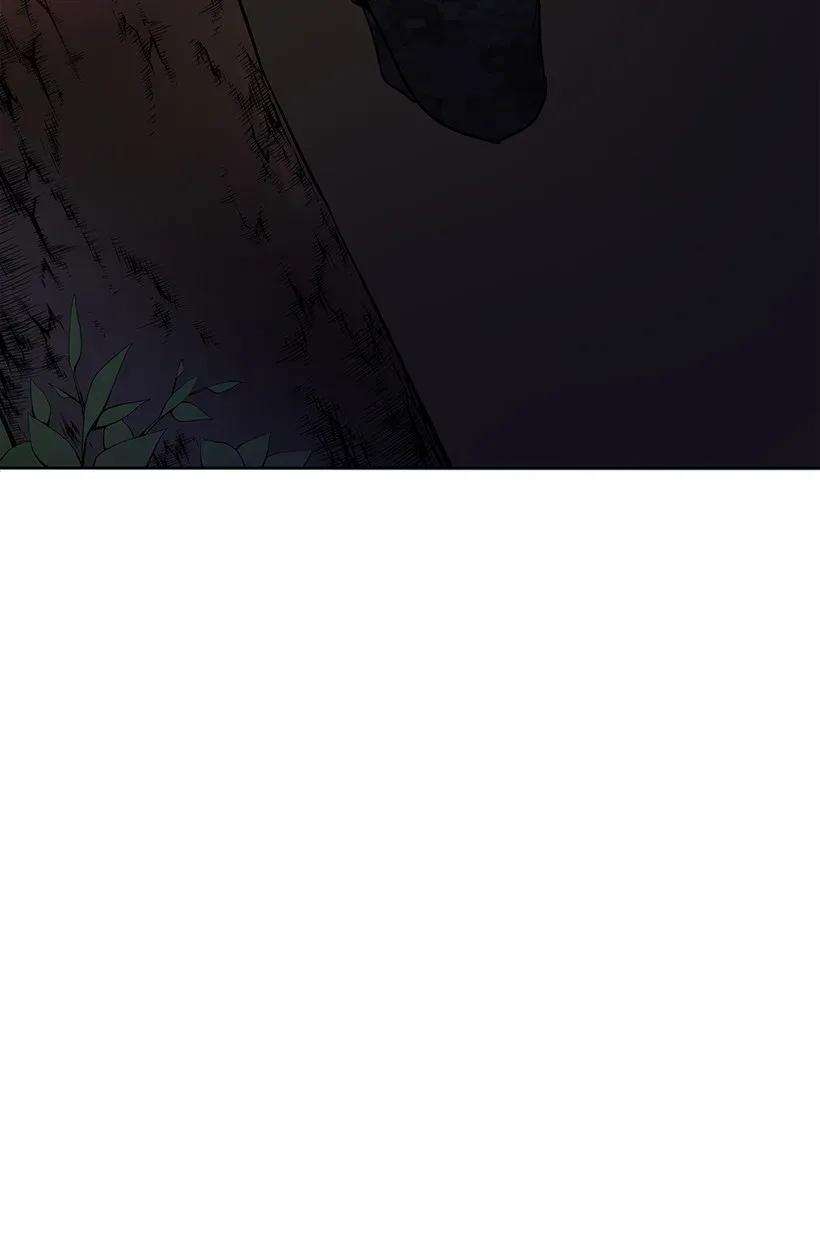 78.jpg