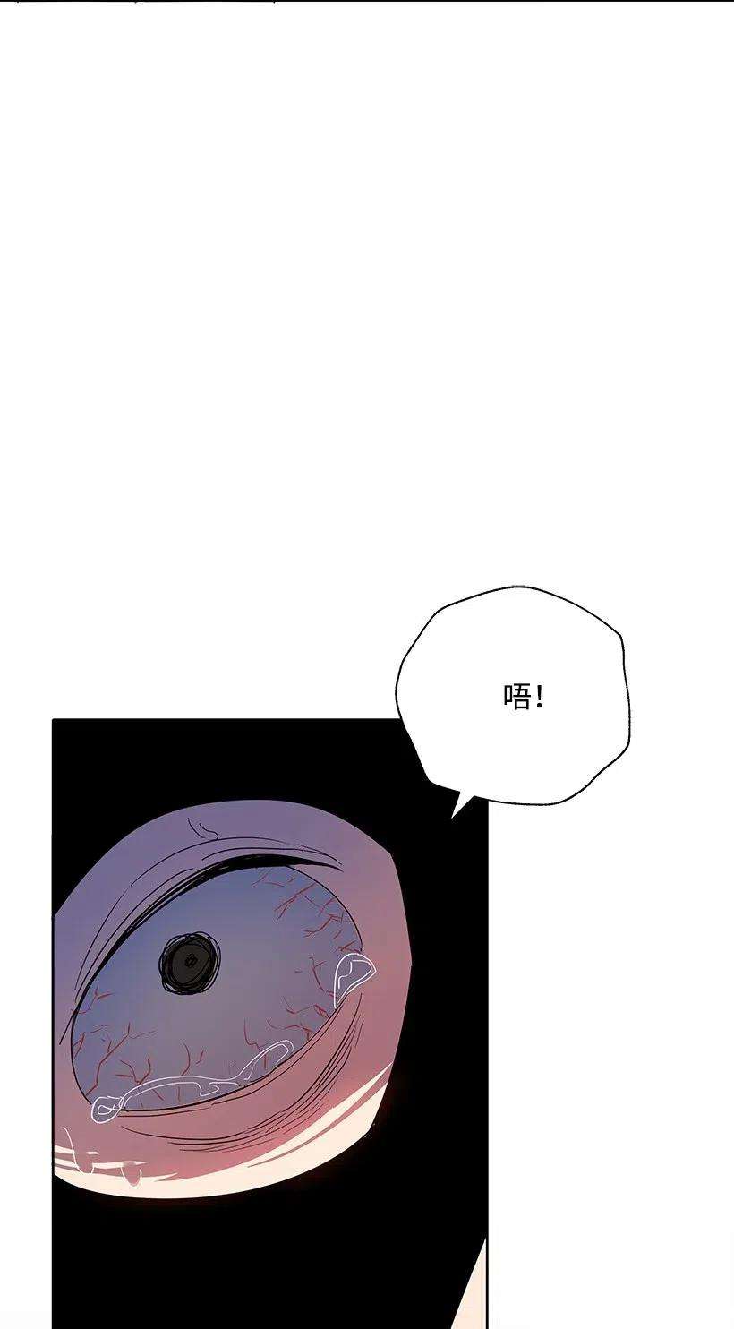 93.jpg