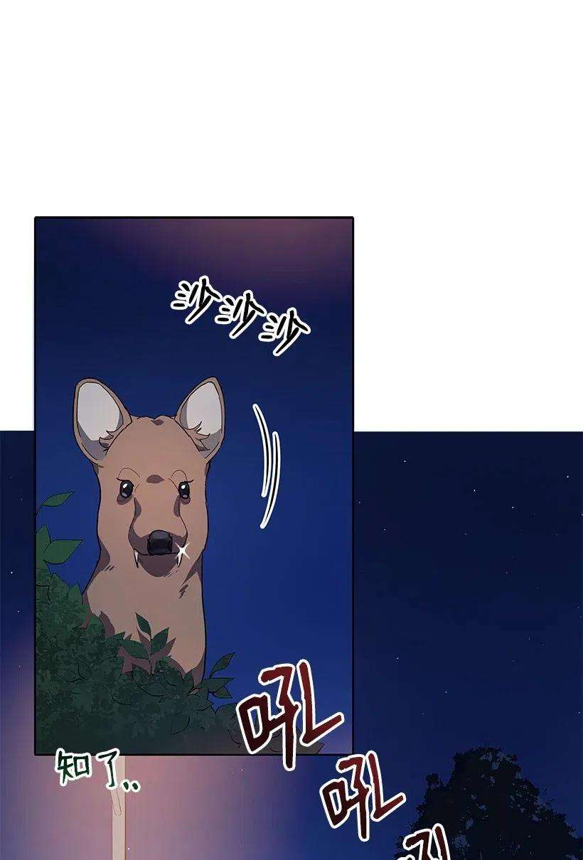 54.jpg