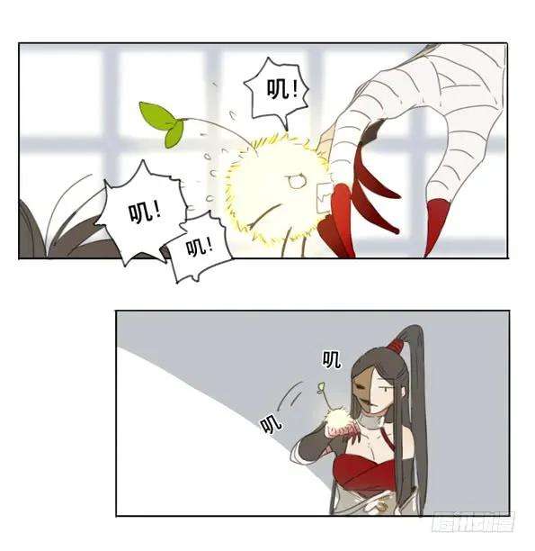 19.jpg