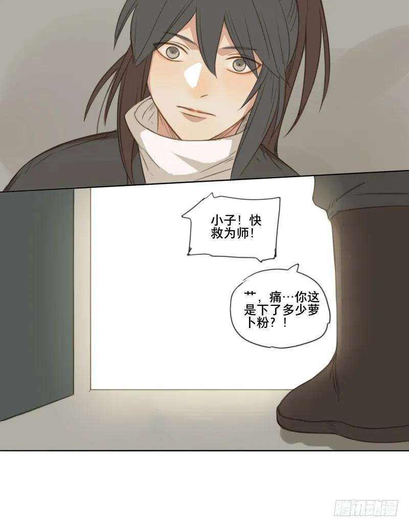 29.jpg