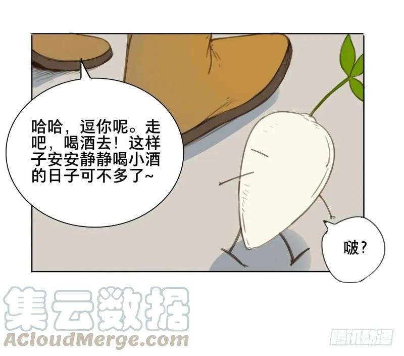 37.jpg