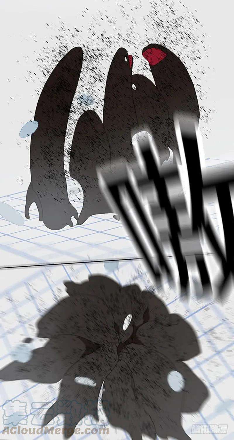40.jpg