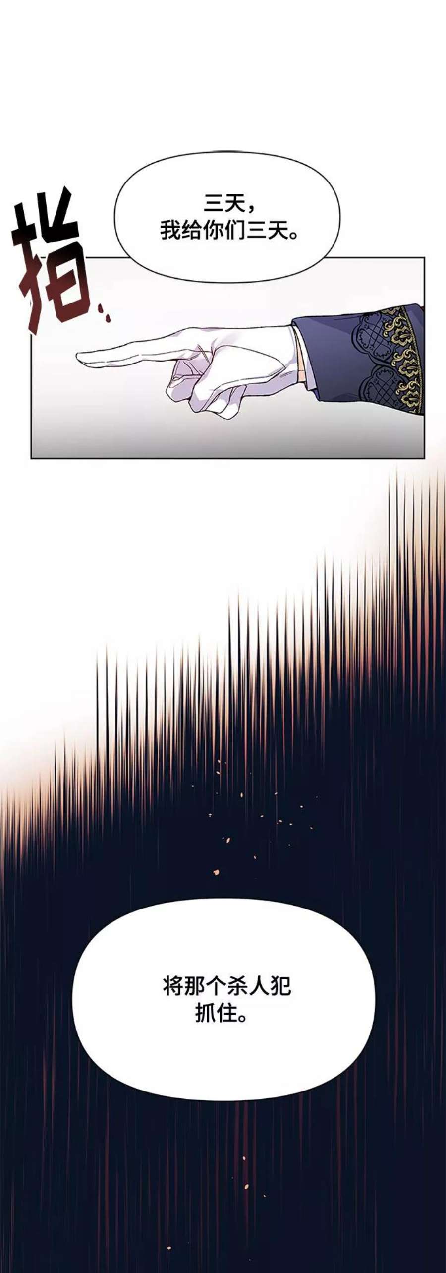 41.jpg
