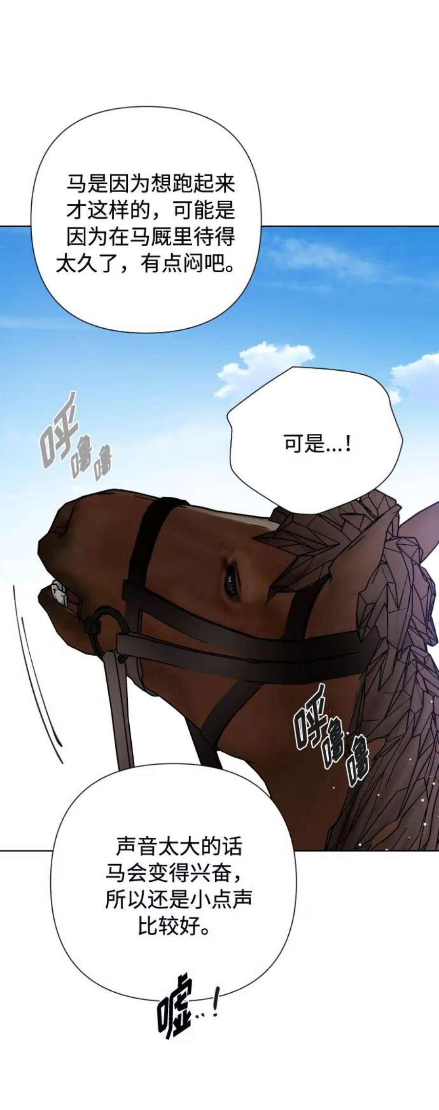 47.jpg