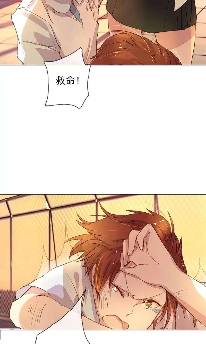 26.jpg