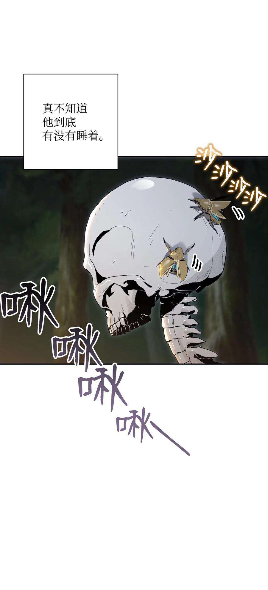 31.jpg