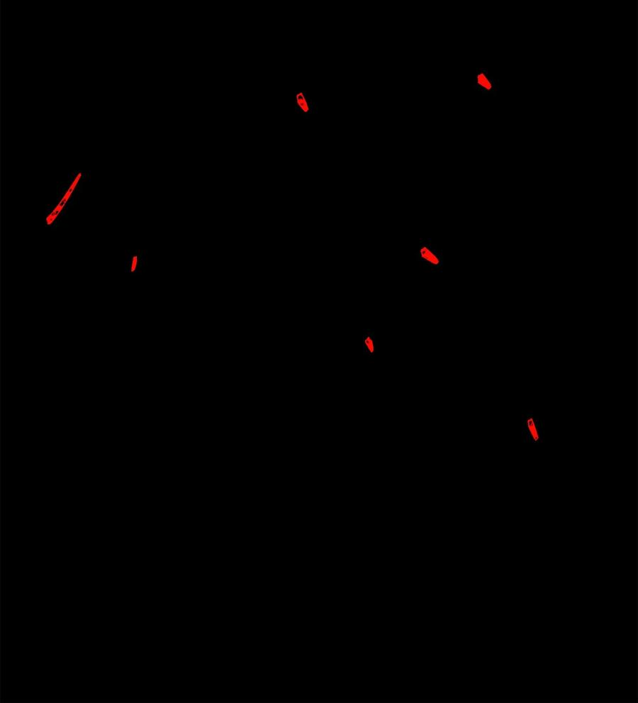 119.jpg