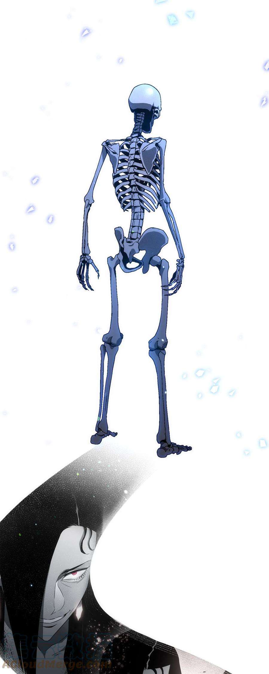 65.jpg