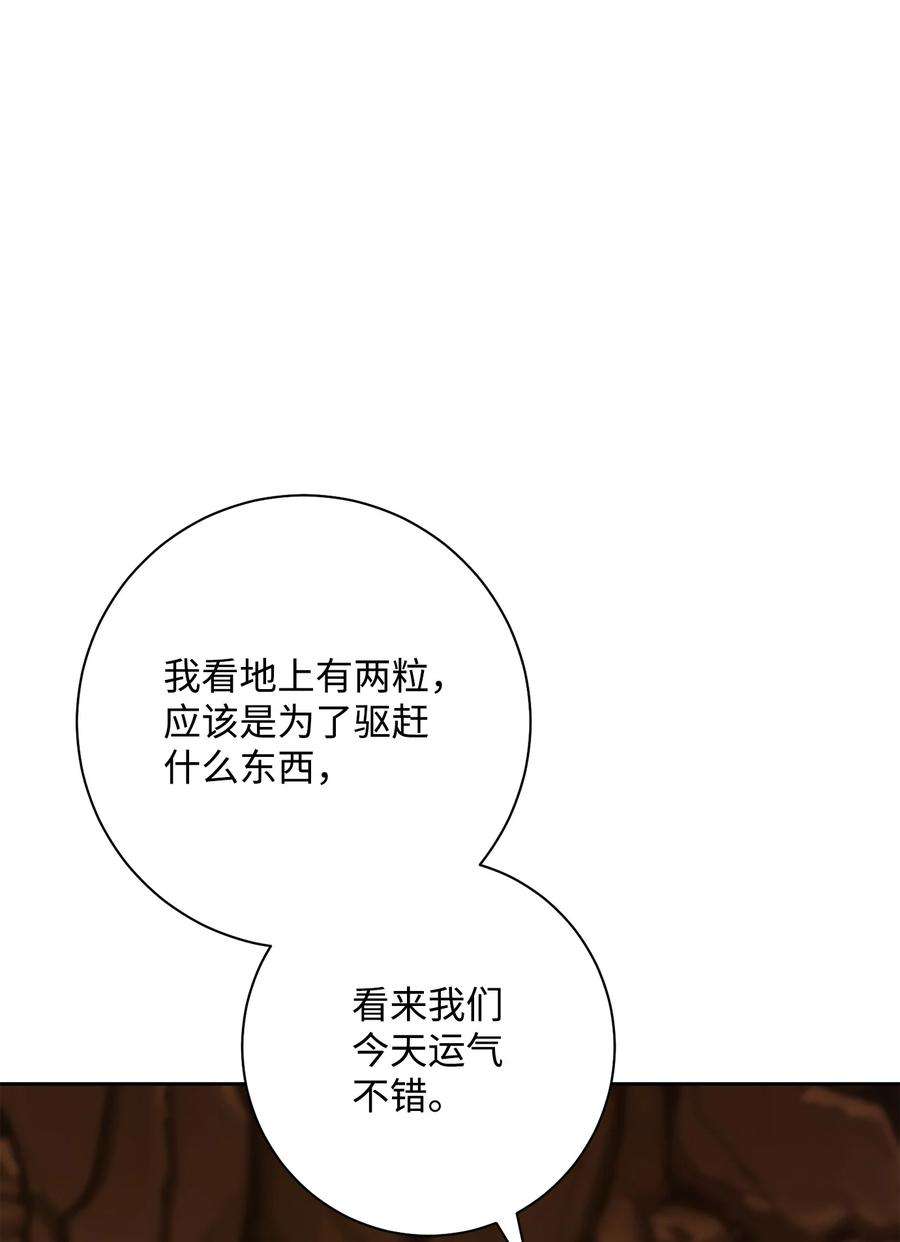 103.jpg
