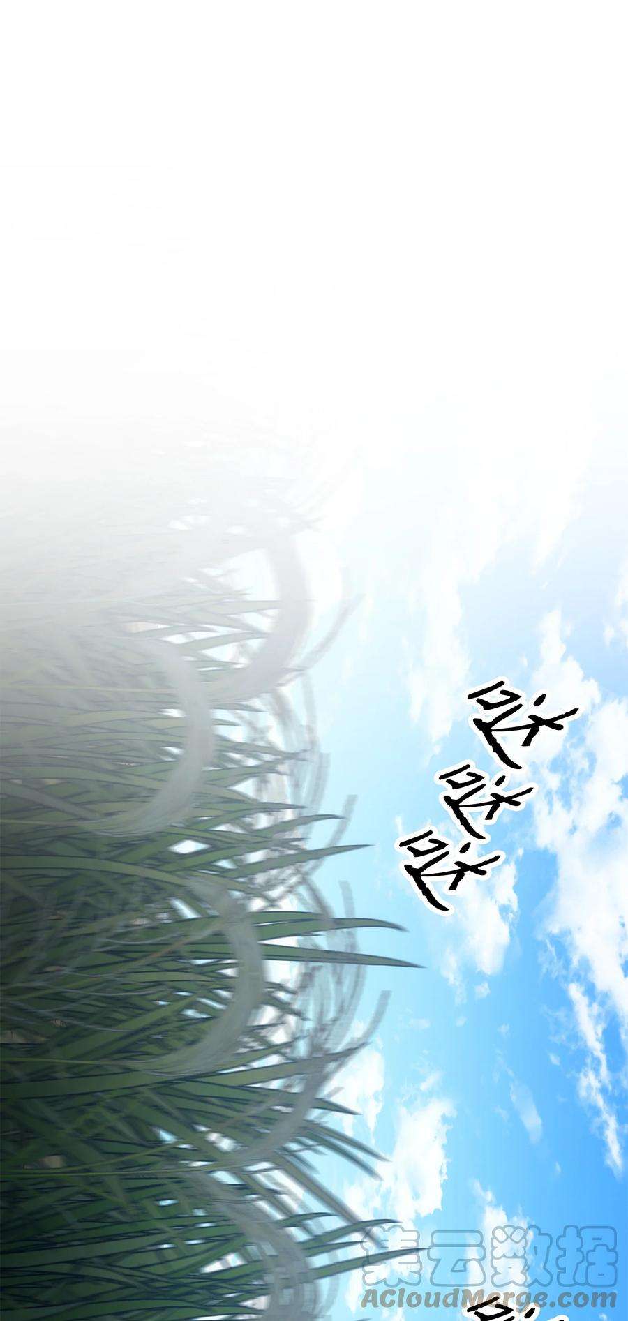 53.jpg