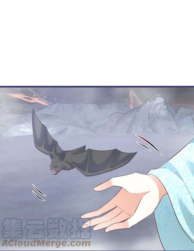 27.jpg