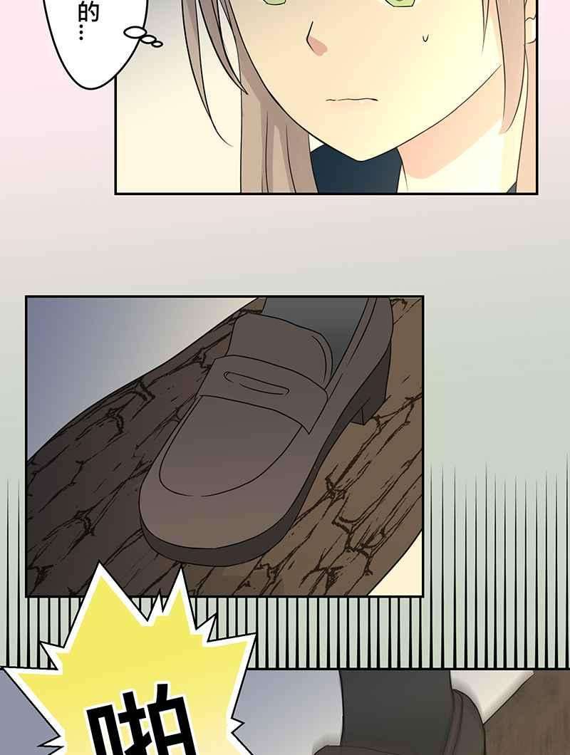62.jpg