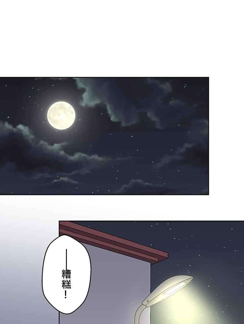 48.jpg