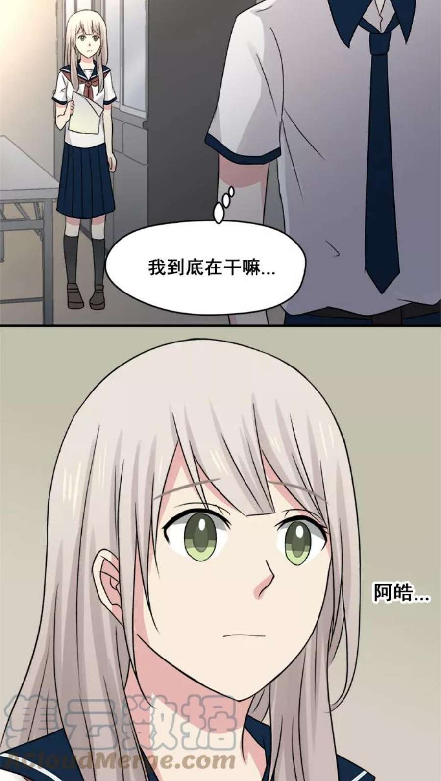 29.jpg