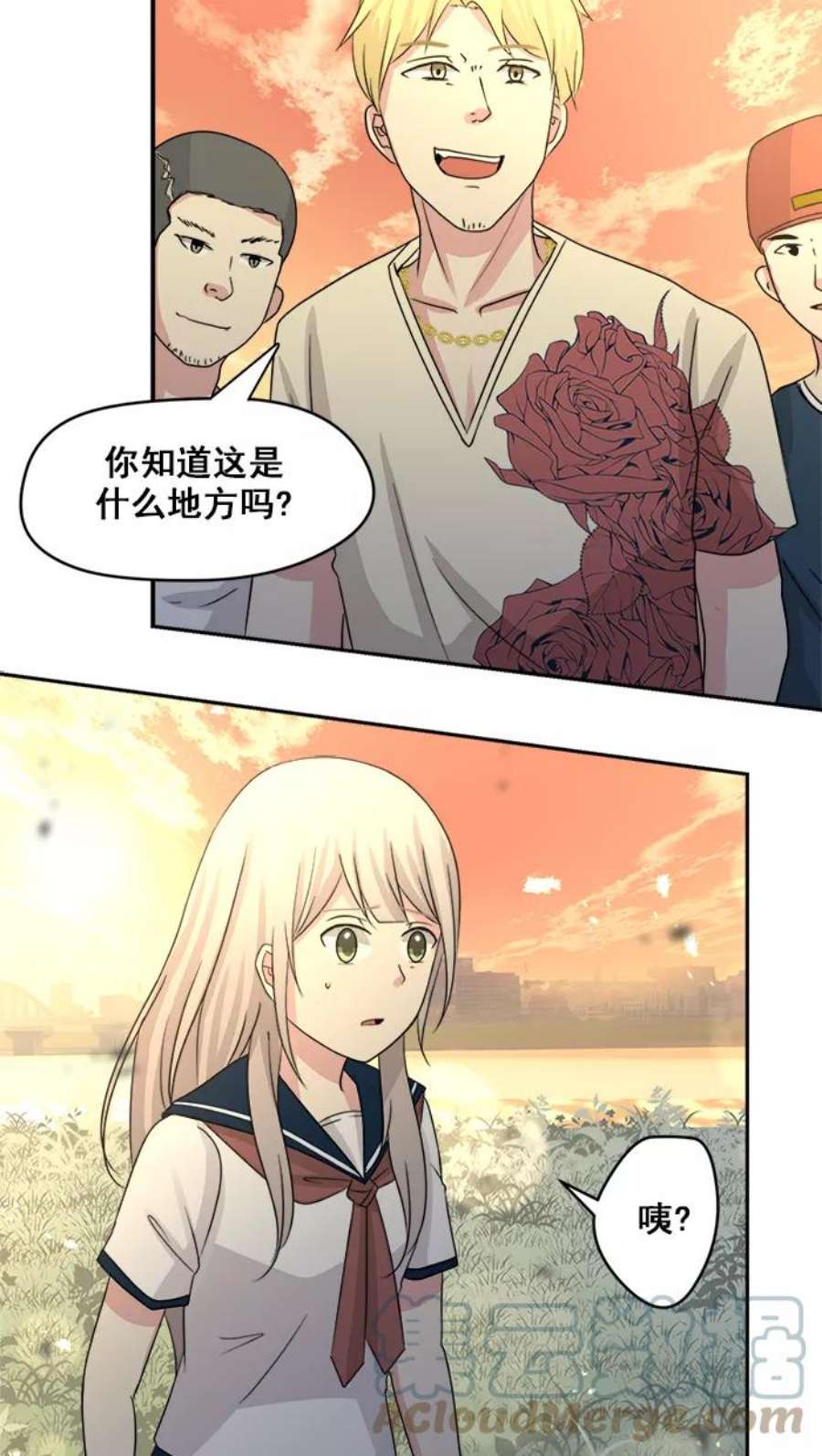 39.jpg