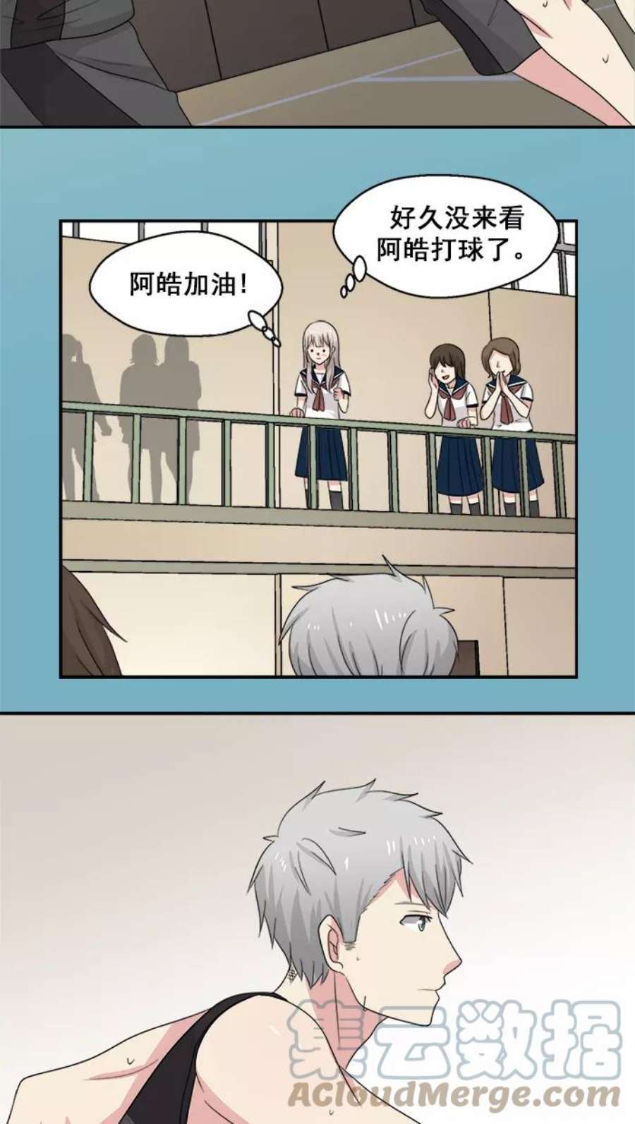 19.jpg