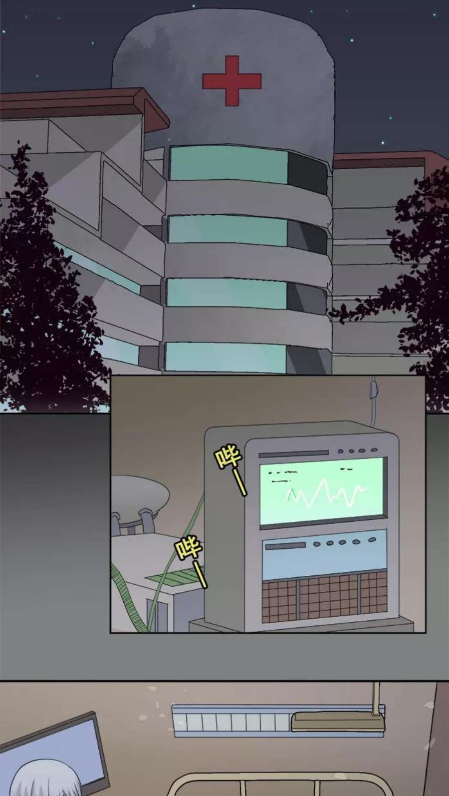 41.jpg