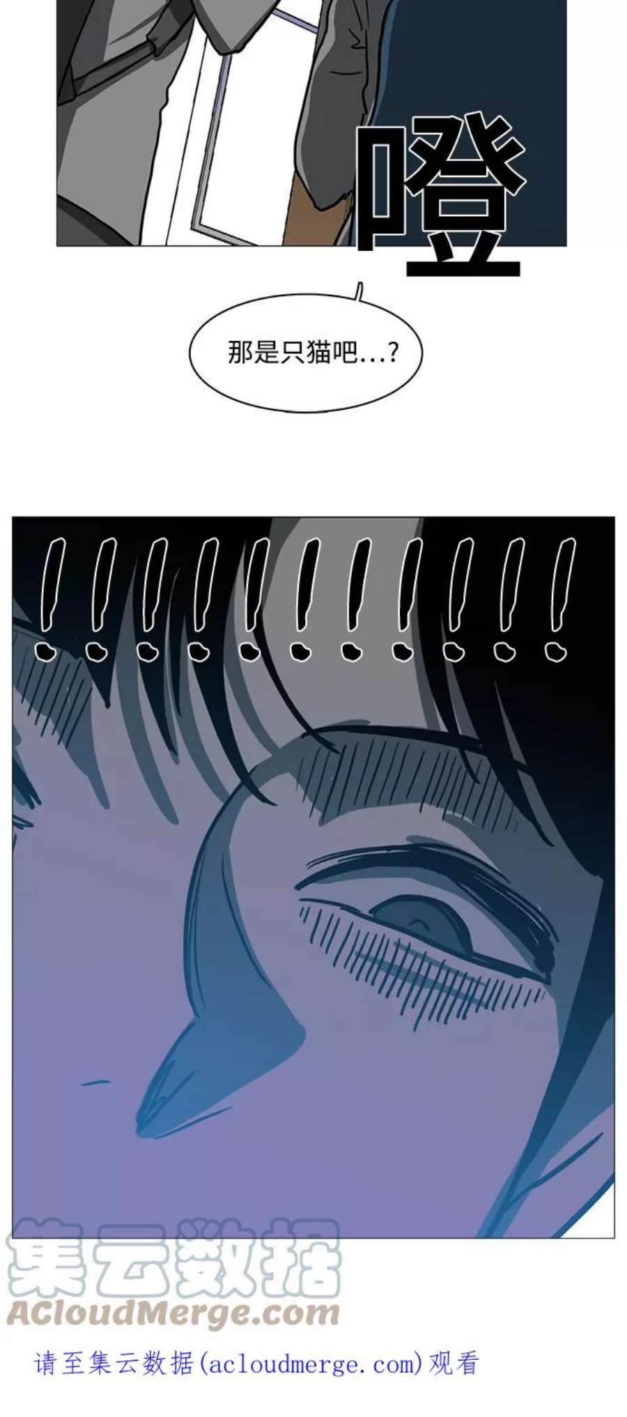 39.jpg