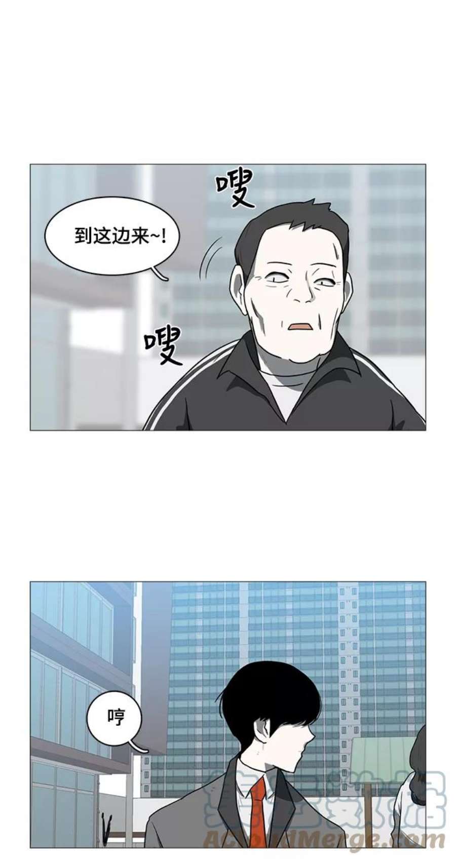 25.jpg