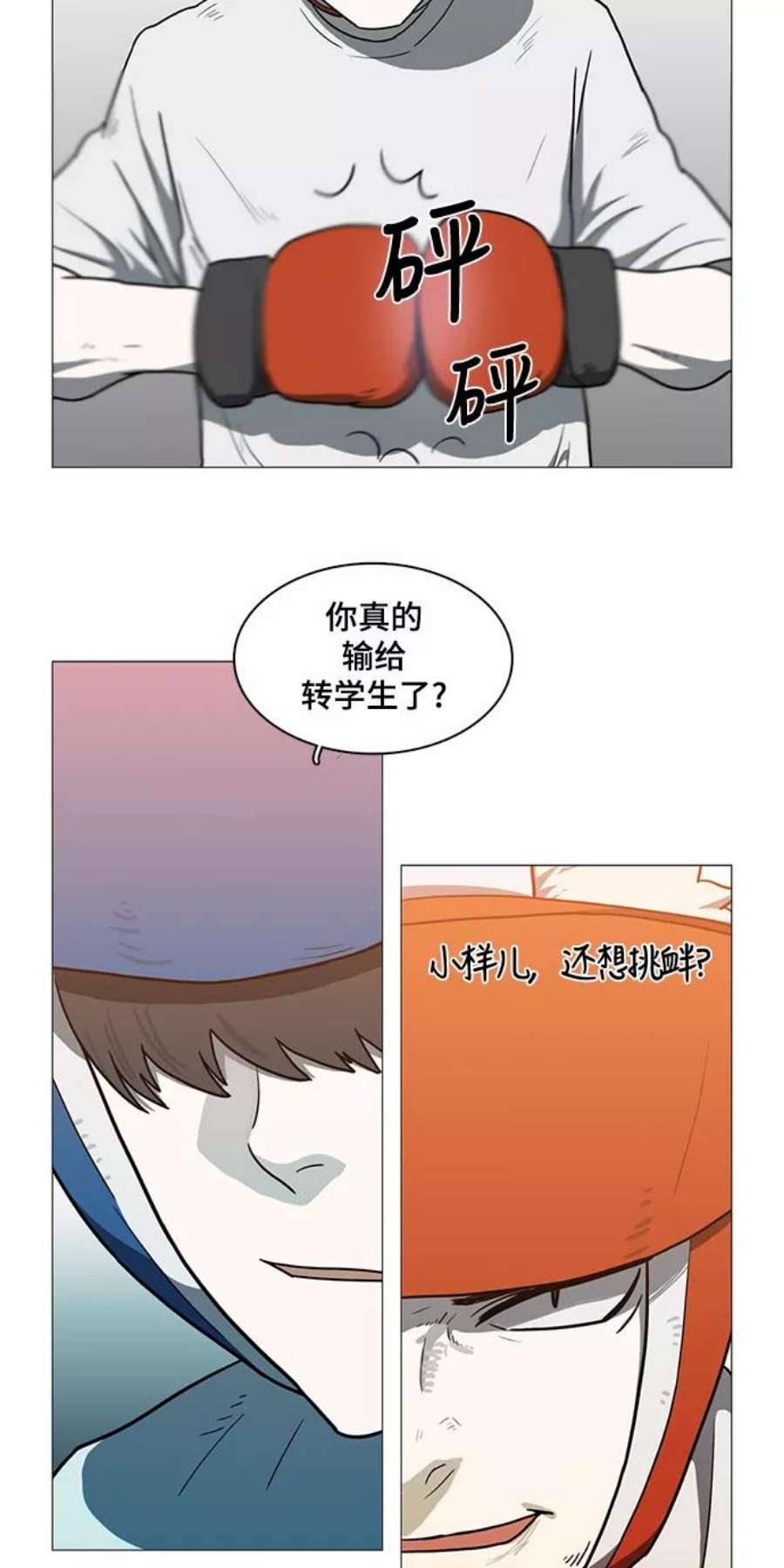 17.jpg
